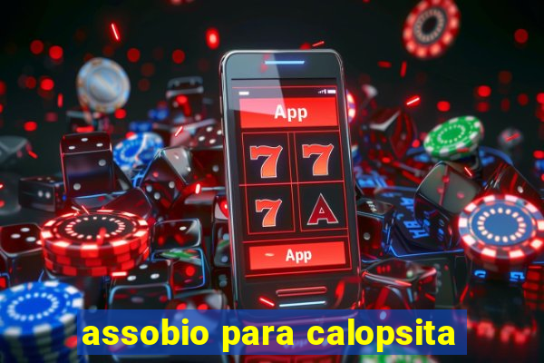 assobio para calopsita